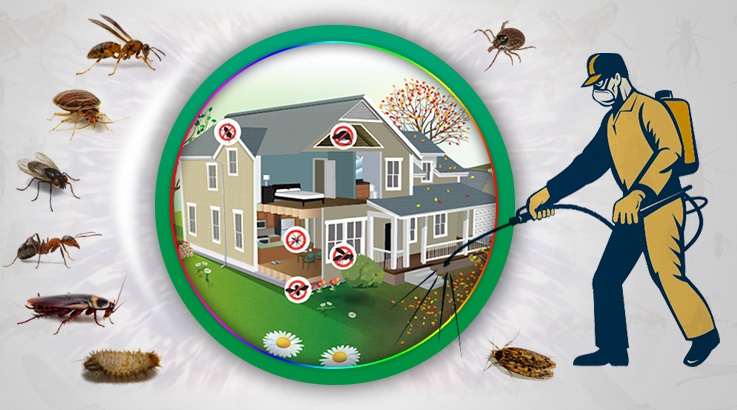 Baklan Böcek İlaçlama