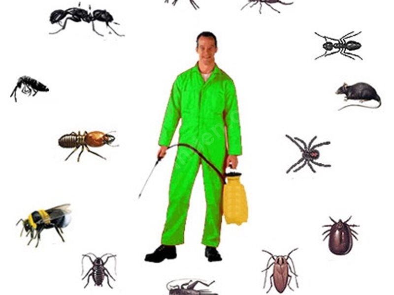 Baklan Böcek İlaçlama